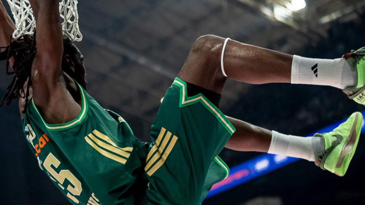 Mamnimal El Baskonia ficha a 'Manimal' para reforzar su juego interior