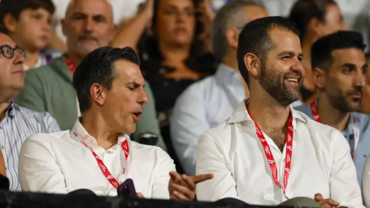 Descubren cómo las proteínas pueden influir en el desarrollo de neoplasias.