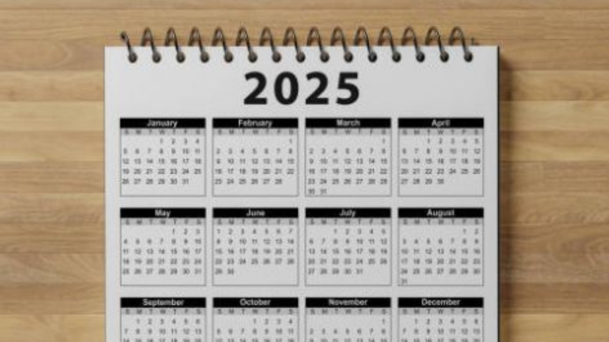Calendario De Adviento 2025 Para Amantes De Los Perros – 24 Colgantes Acrílicos De Perro Maltés, Decoración Navideña Reutilizable Para Ventanas Y Puertas