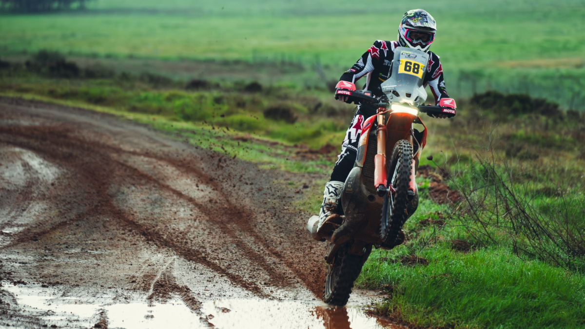 Schareina peleará el triunfo en Portugal hasta el final... y Loeb lo sentencia en la penúltima