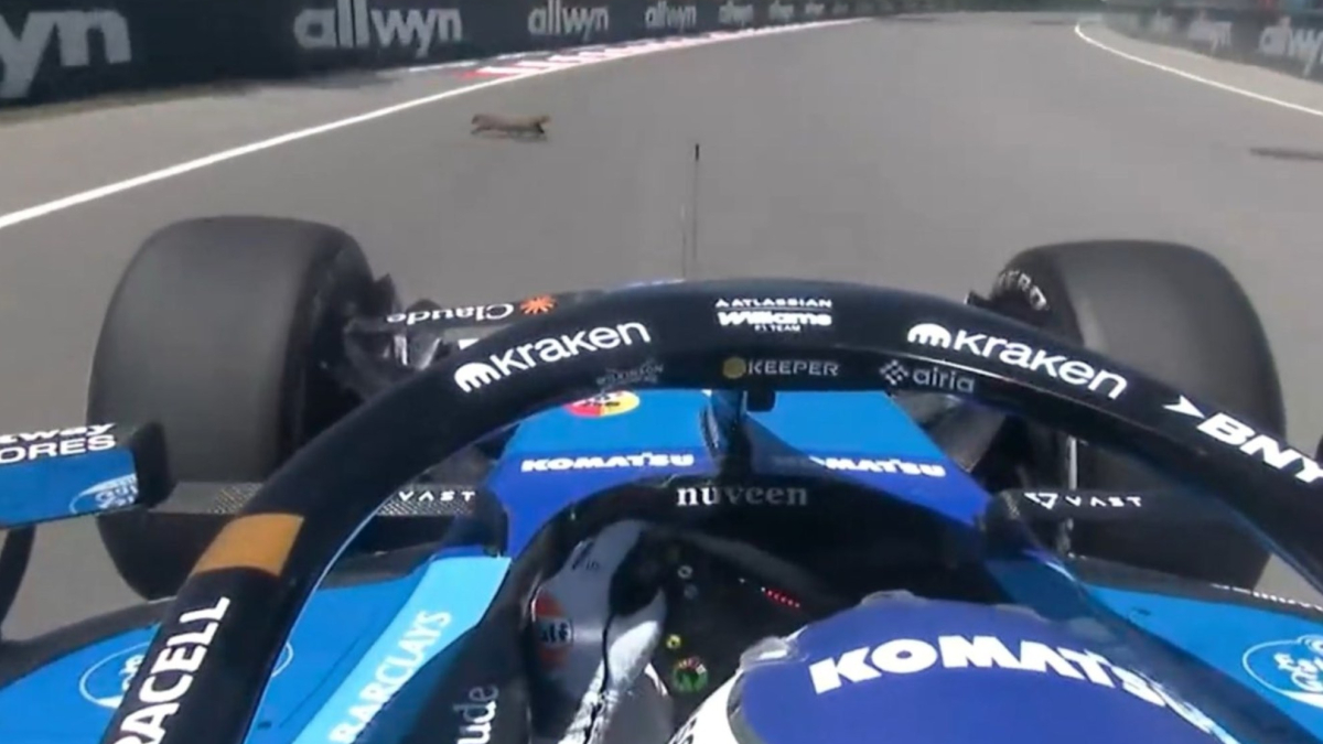 Albon se estrella... ¡tras atropellar a una marmota!