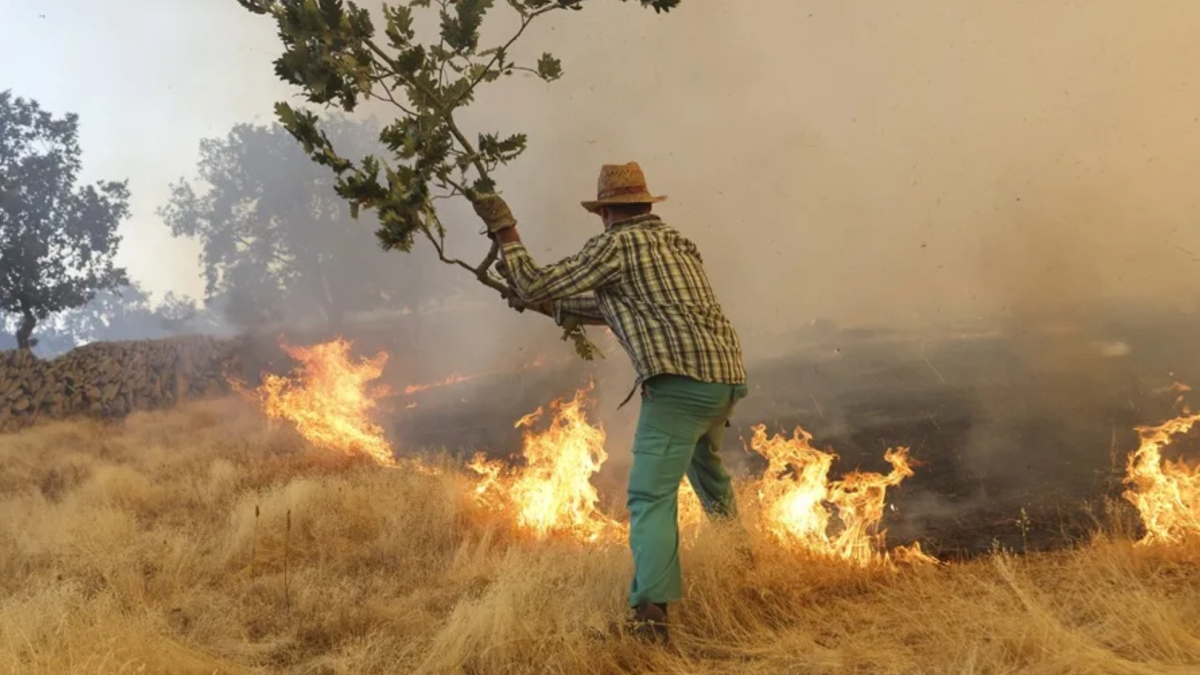 Marlaska declara la emergencia de interés nacional por los incendios en la Comunidad de Madrid y Ávila
