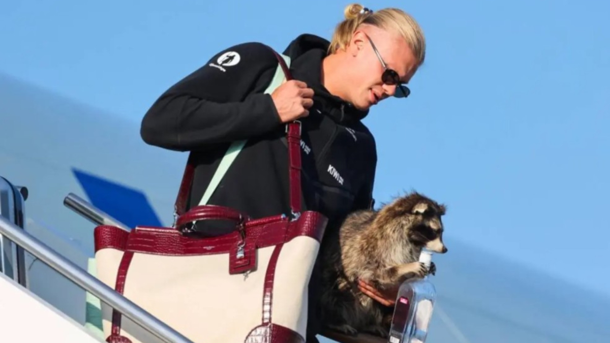 Haaland causa sensación al aterrizar en Oslo con un mapache