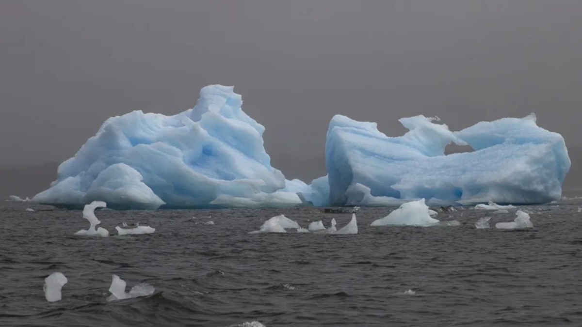 Immagine di una corrente oceánica potente che circonda l'Antartide, isolando il continente