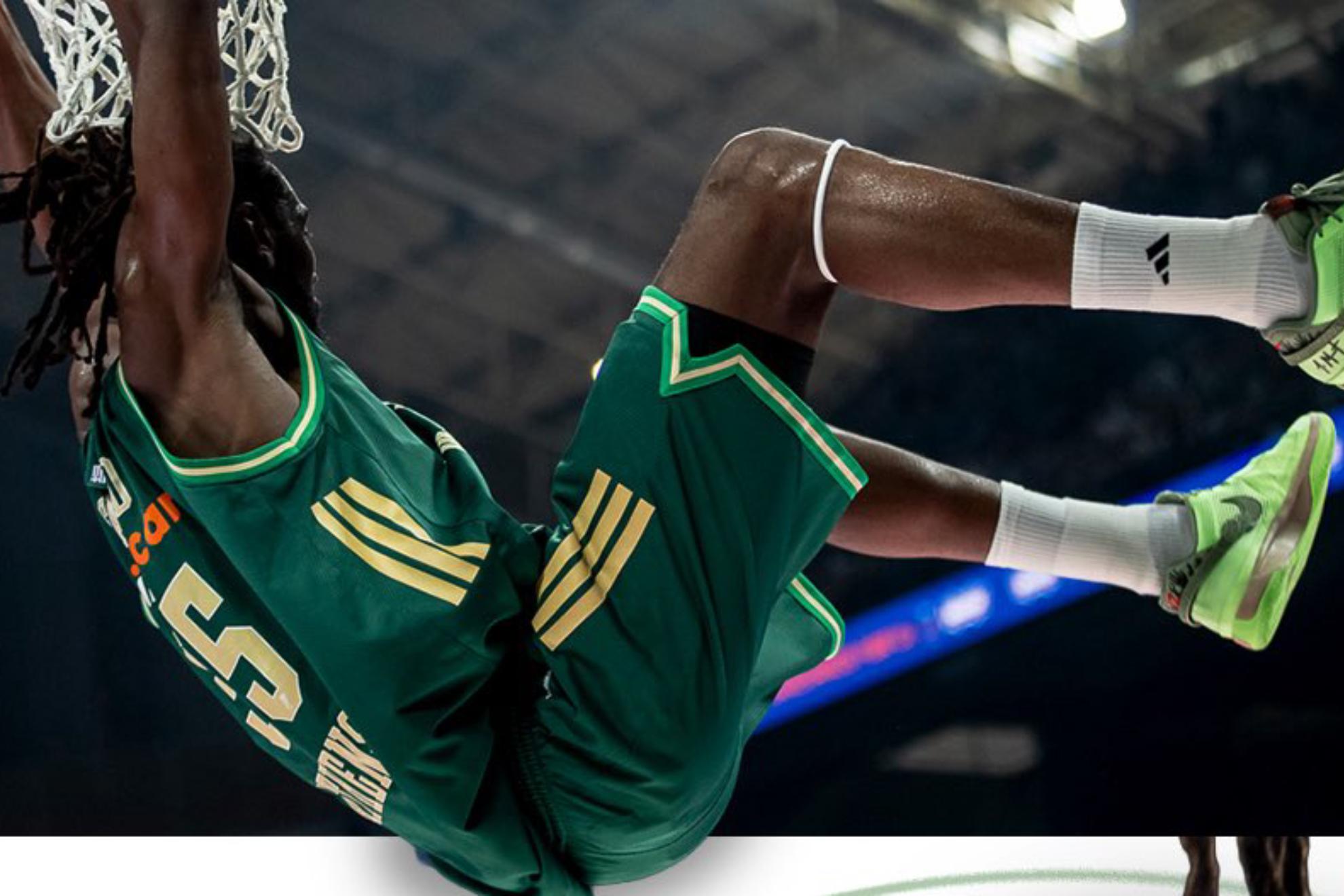 Mamnimal El Baskonia ficha a 'Manimal' para reforzar su juego interior