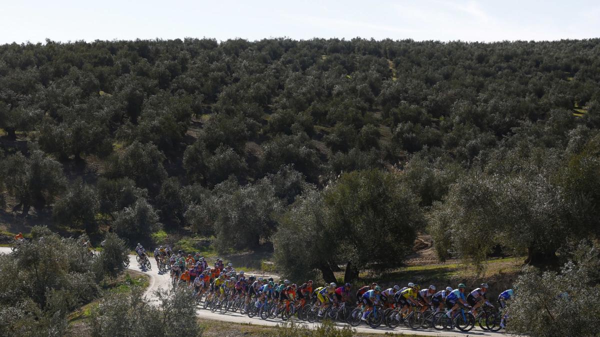 Así son los Caminos de Olivos que decidirán la Clásica Jaén Paraíso Interior 2026