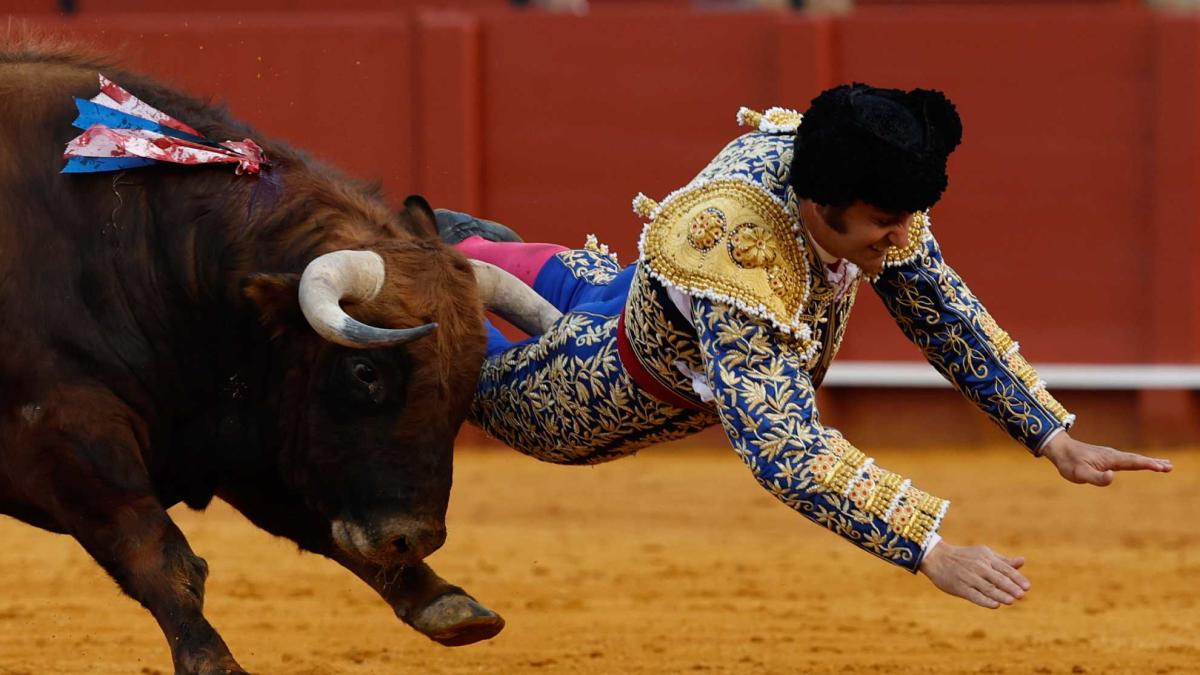 Morante de la Puebla, herido muy grave en Sevilla