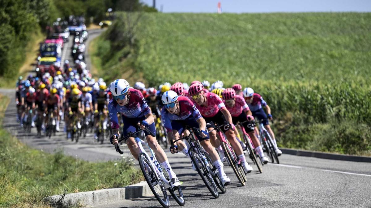 Escándalo ecologista en el Tour: la tala de 1.000 árboles en el Ballon d'Alsace desata la ira ecologista