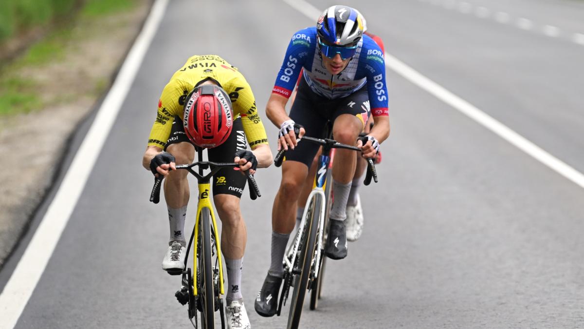 Noticia Ciclismo: Pellizzari: "Cometí el error de querer seguir a Vingegaard" - joseluispolo.es