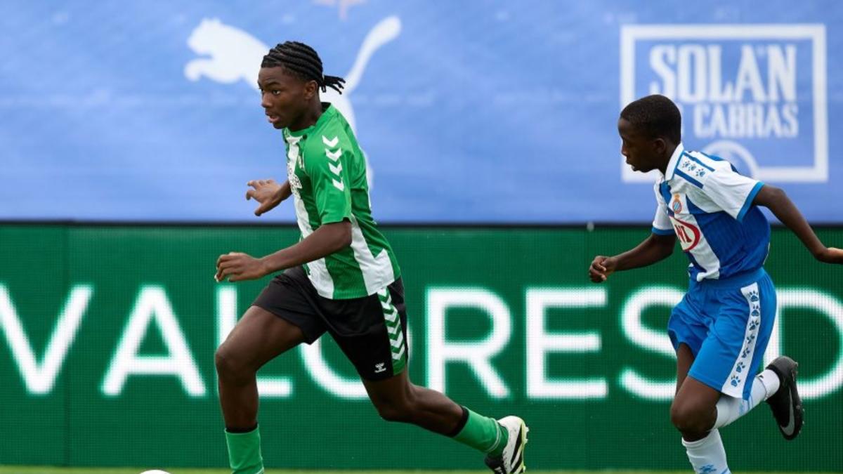 El muro verde y blanco que llegó de Camerún