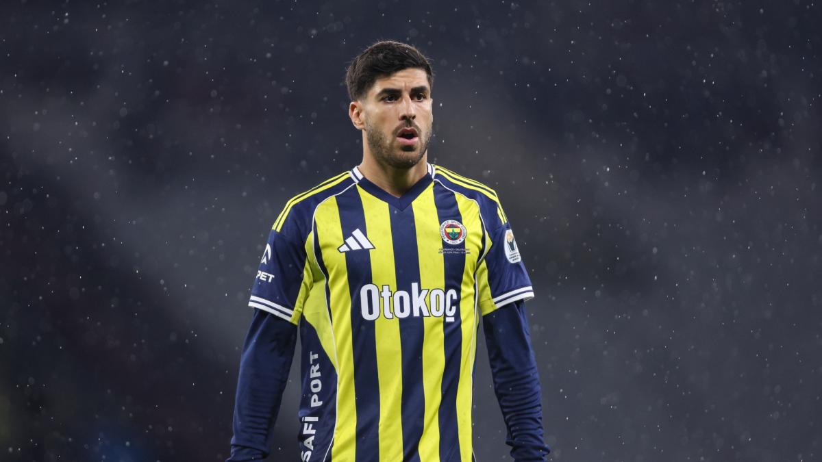 Fenerbahçe ne tombe pas de la Ligue des champions