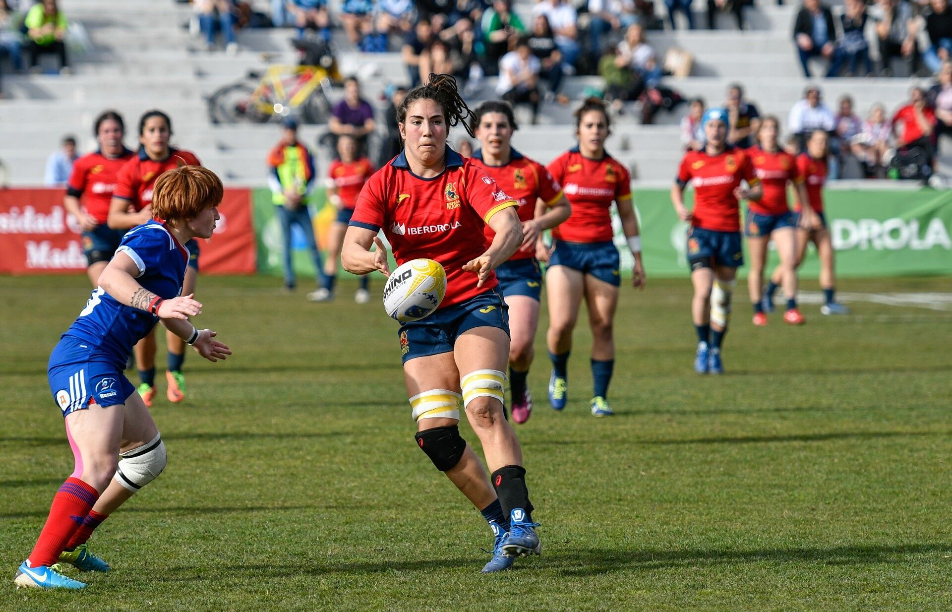 100+] Fondos de fotos de Leona | Wallpapers.com, image size:1920x1234