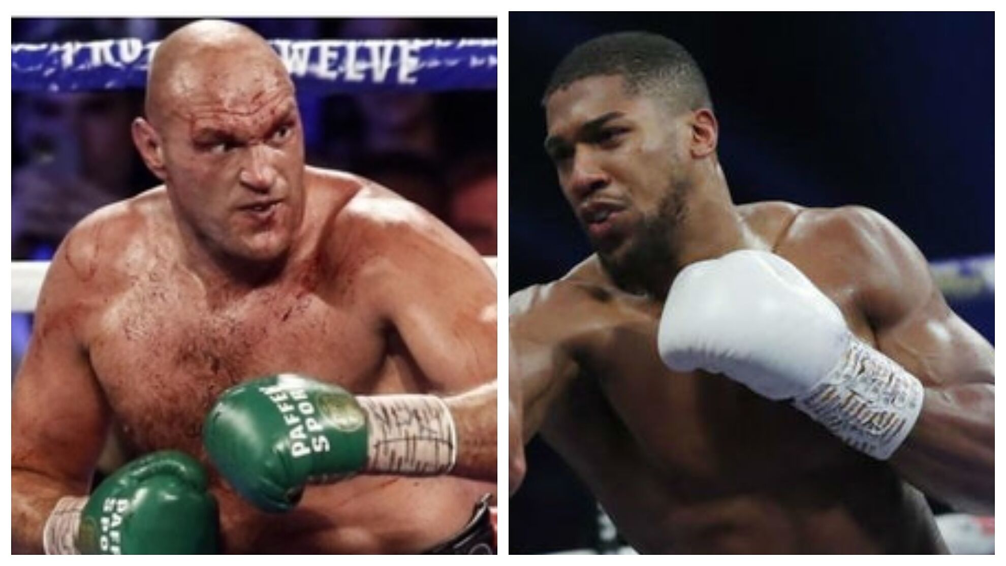 Anthony Joshua y Tyson Fury disputarán dos combates.