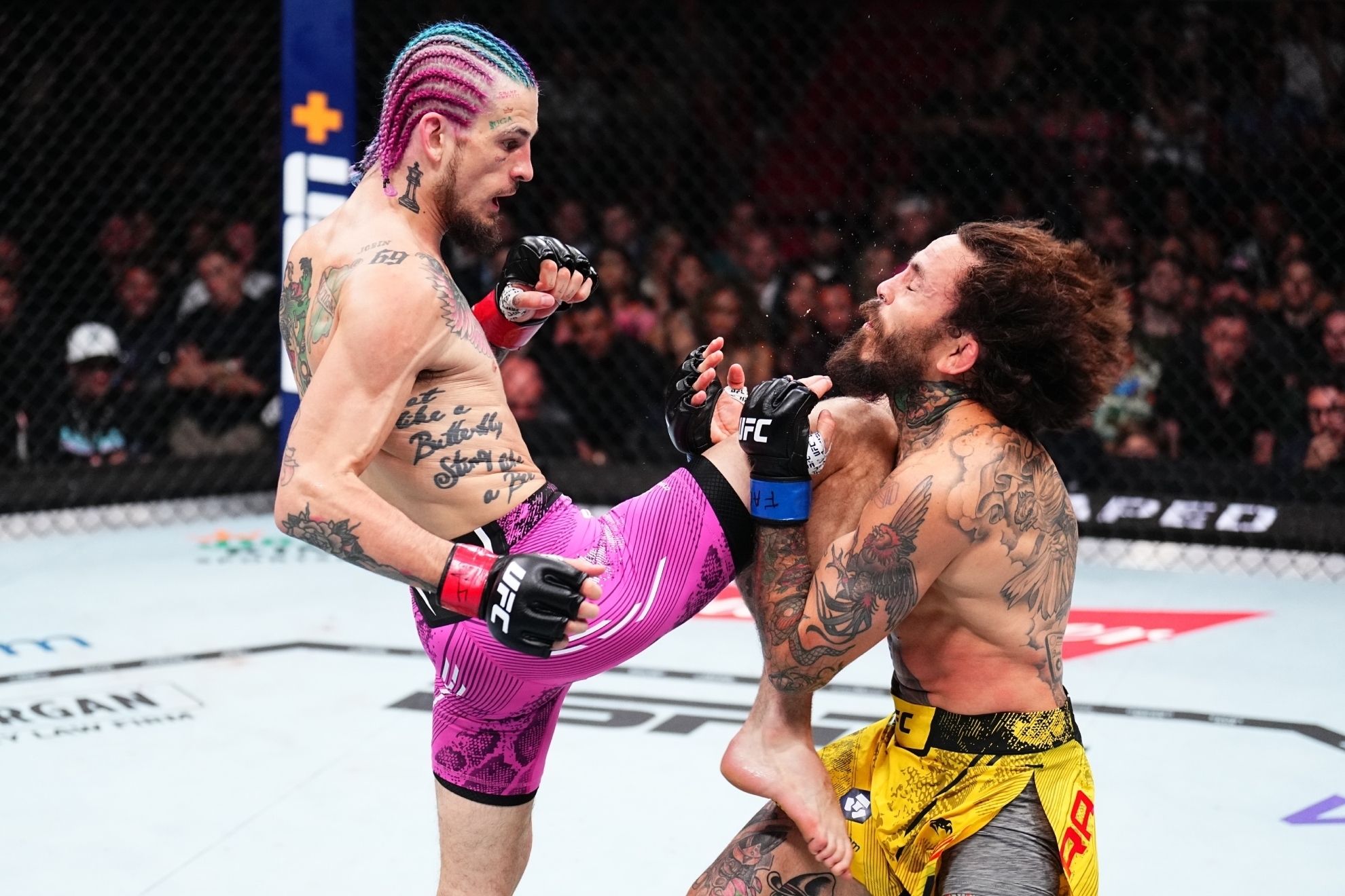 'Chito' Vera, duro como una roca, sobrevivió a este rodillazo de Sean O'Malley.