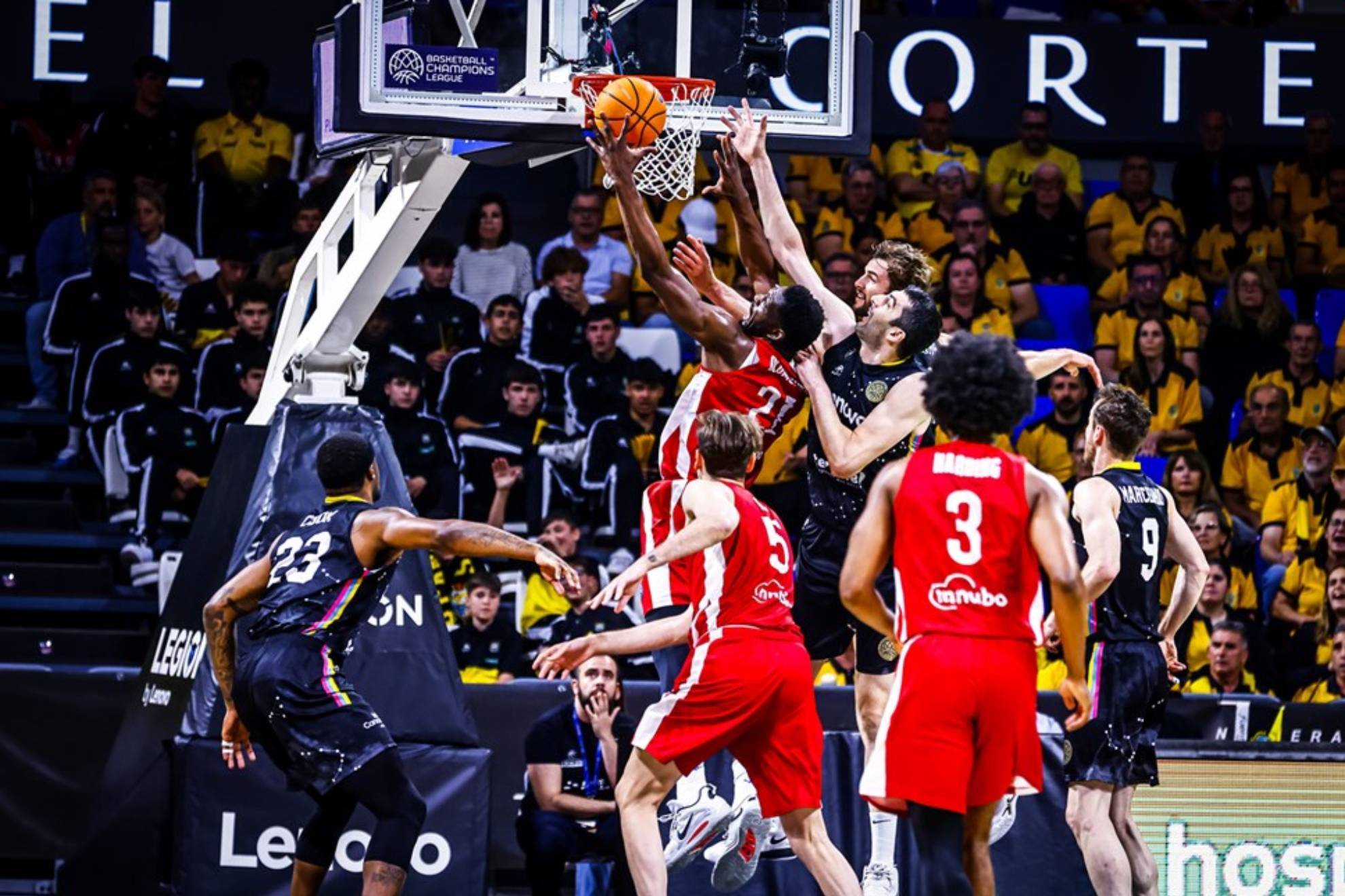 El Lenovo Tenerife, a revalidar su título en la Final Four de la Champions