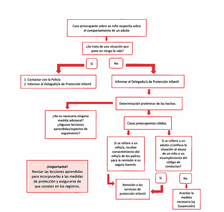 El esquema en el caso de que haya que denunciar.
