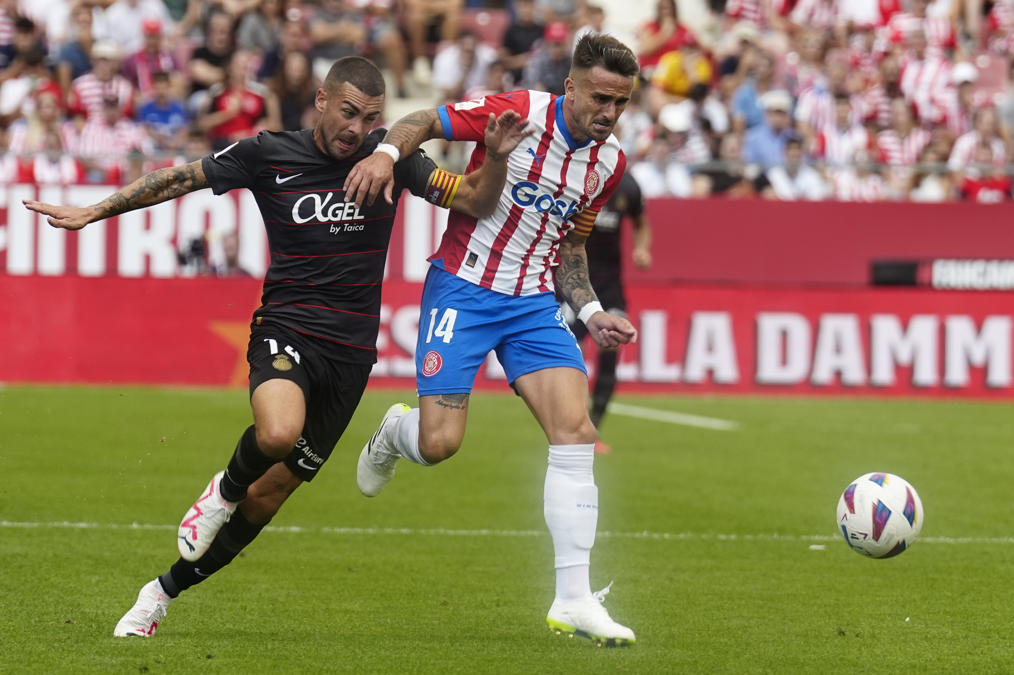 Aleix García, en un partido en Montilivi.