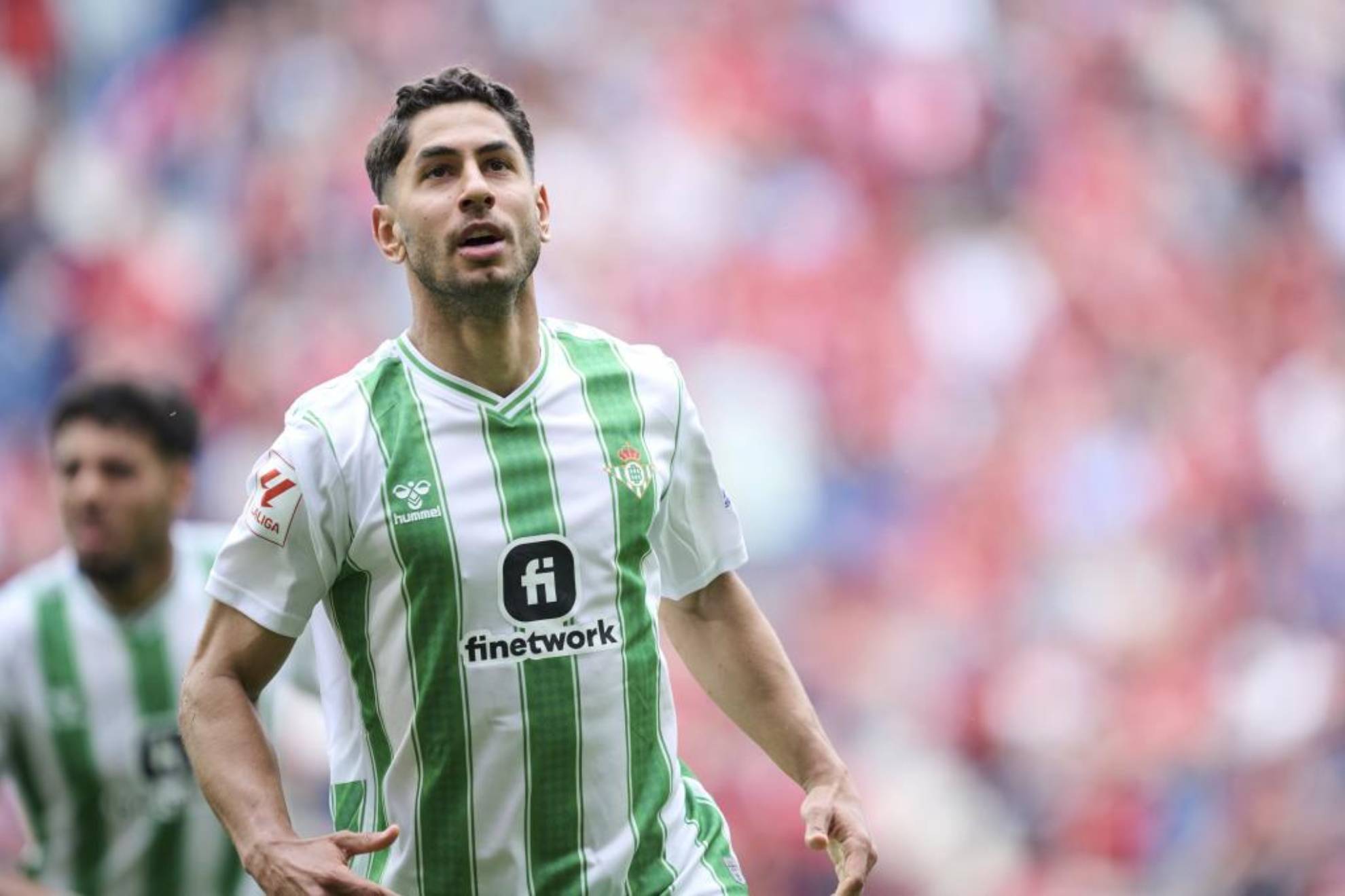 Ayoze Pérez en un partido con la elástica verdiblanca la temporada pasada.