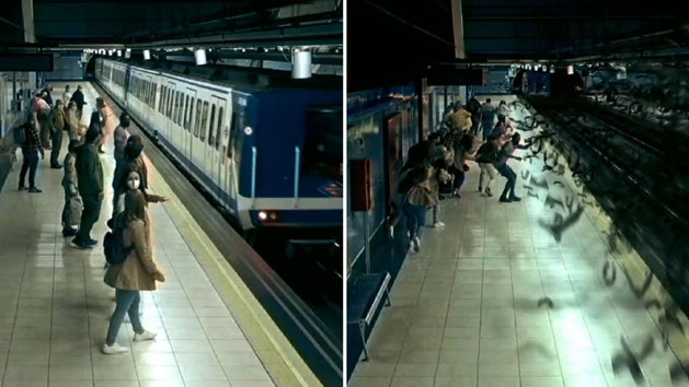 El metro de Madrid sufre una invasión de murciélagos