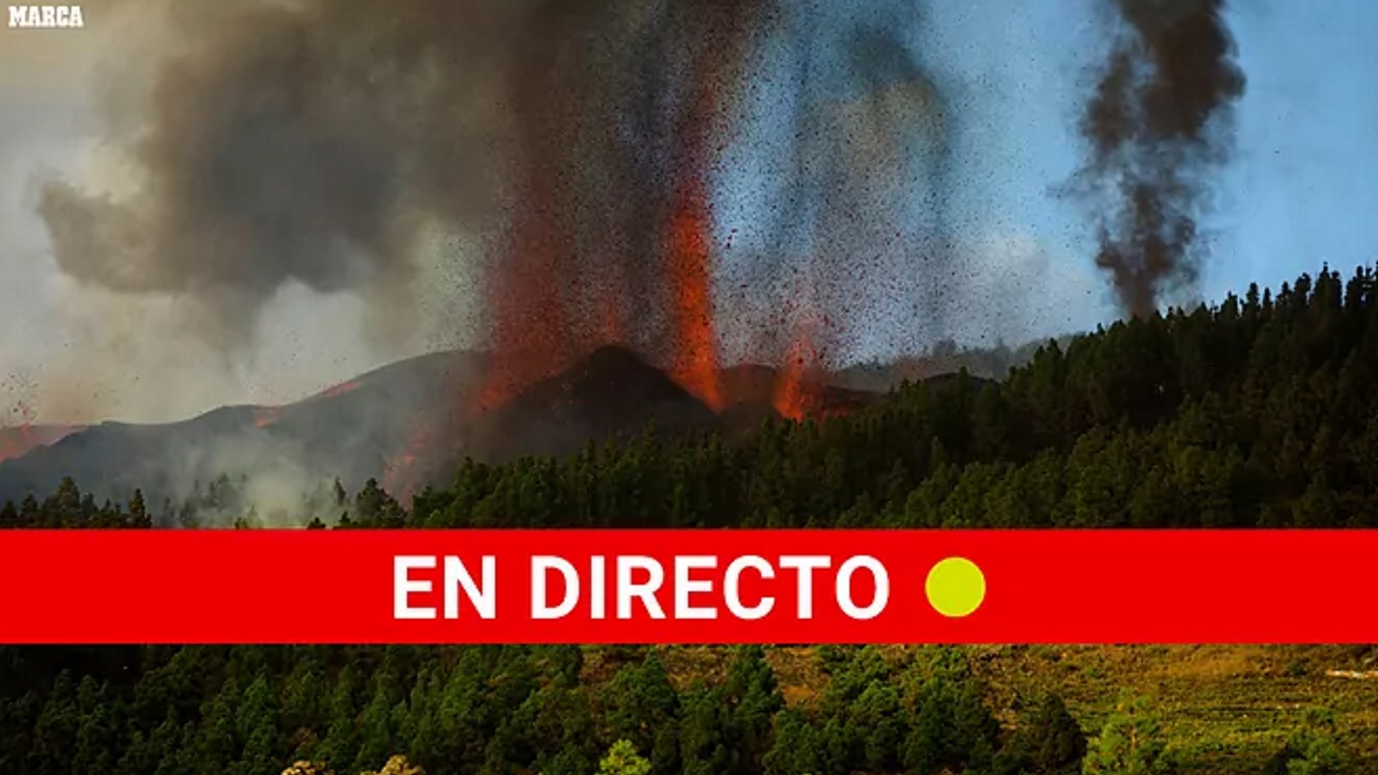 Volcán en La Palma, última hora en directo este domingo 14 de noviembre.