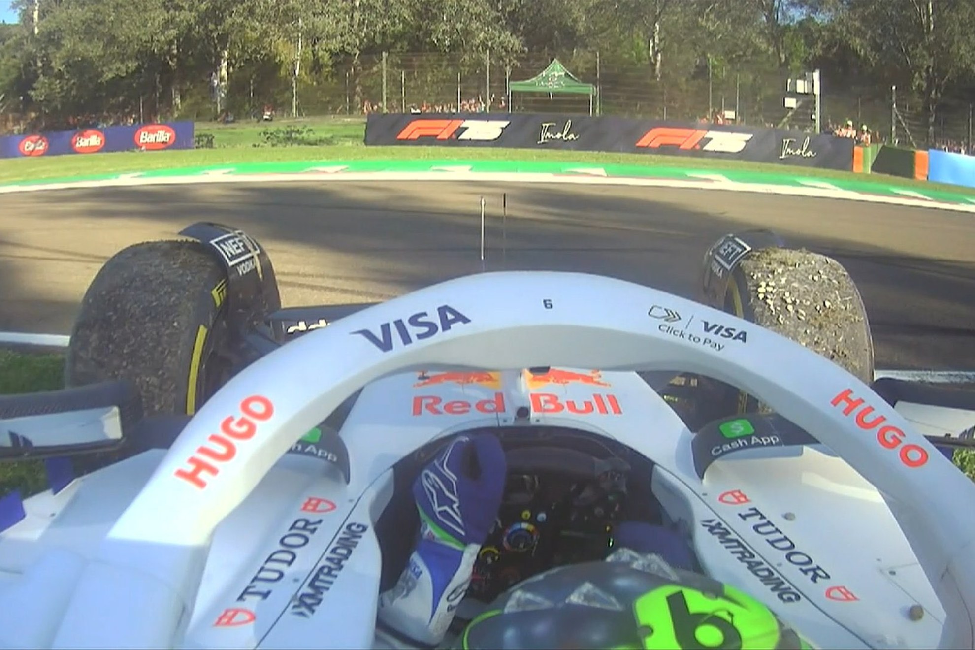 Hadjar, en la hierba.