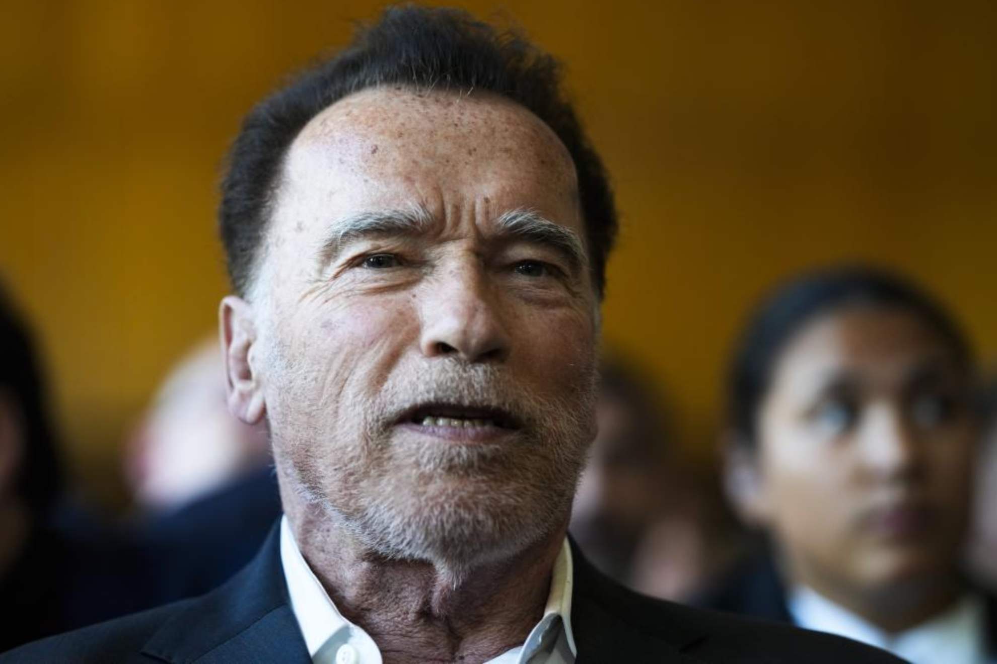 Arnold Schwarzenegger