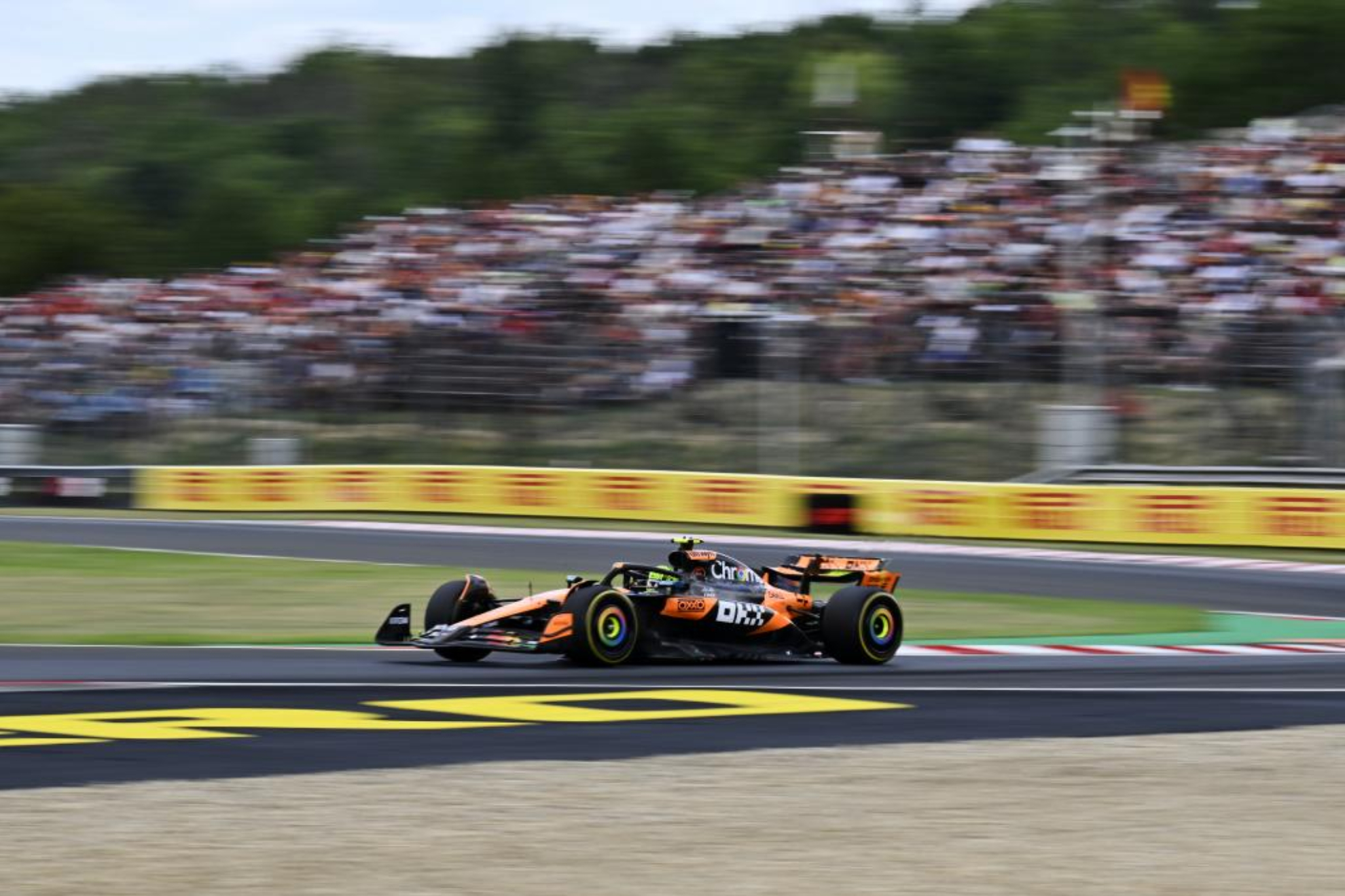 Norris, durante el FP1 del GP de Hungría.