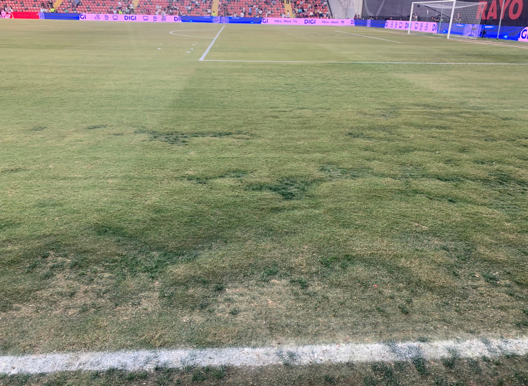 Estado del césped de Vallecas