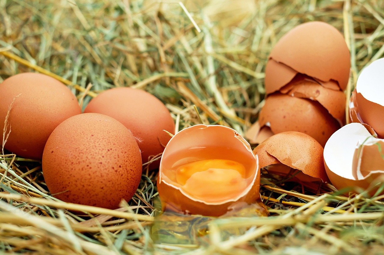 El huevo es uno de los alimentos más presentes en nuestra dieta diaria