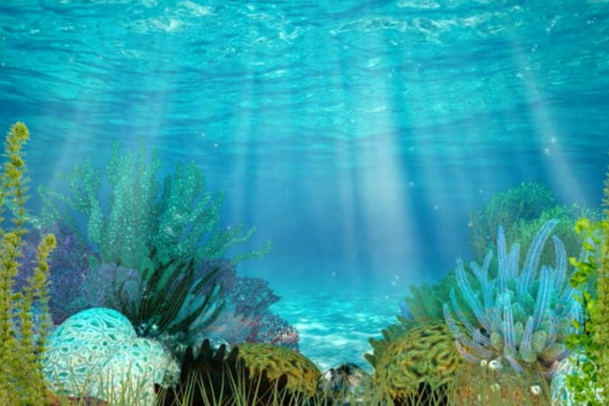 No contiene ni oro ni joyas, pero es mucho más valioso que eso: Europa descubre en el fondo del océano el mayor tesoro jamás encontrado