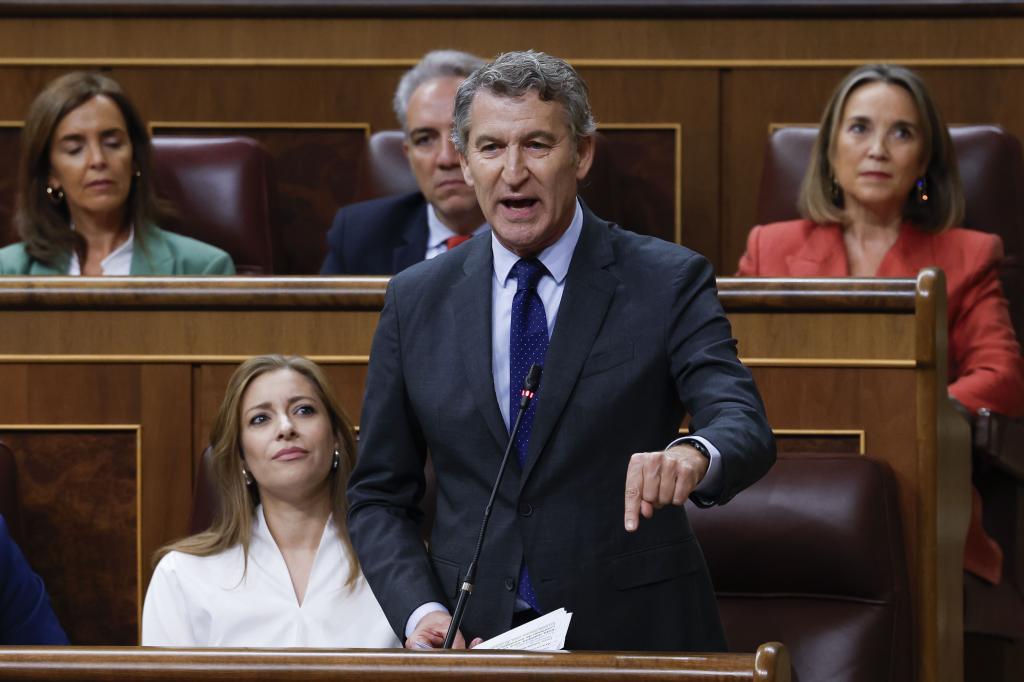 Ánimo, Alberto": la 'vacilada' de Pedro Sánchez a Feijóo en el Congreso que  desató las risas y aplausos de los ministros