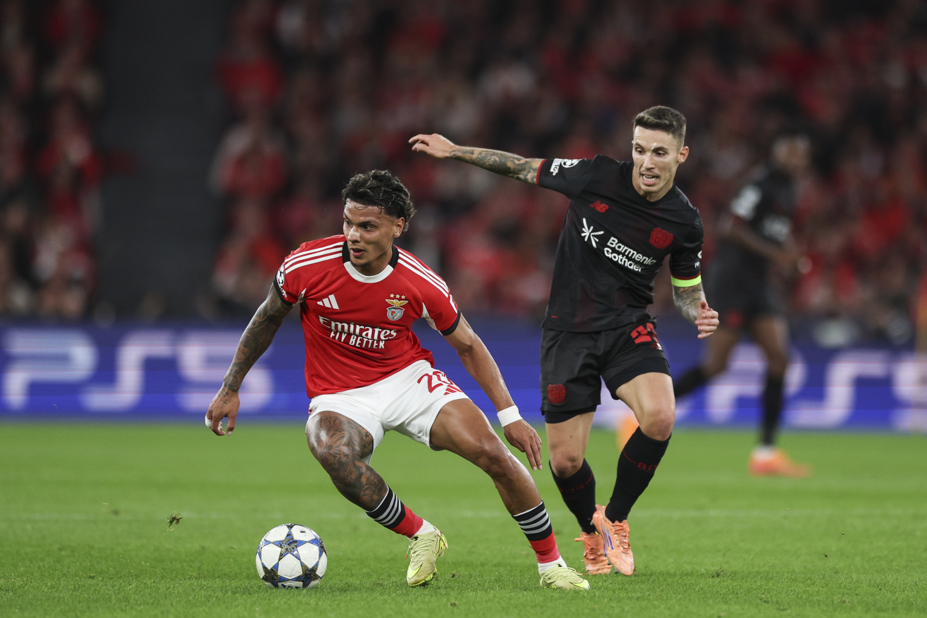 Grimaldo, ante el Benfica.