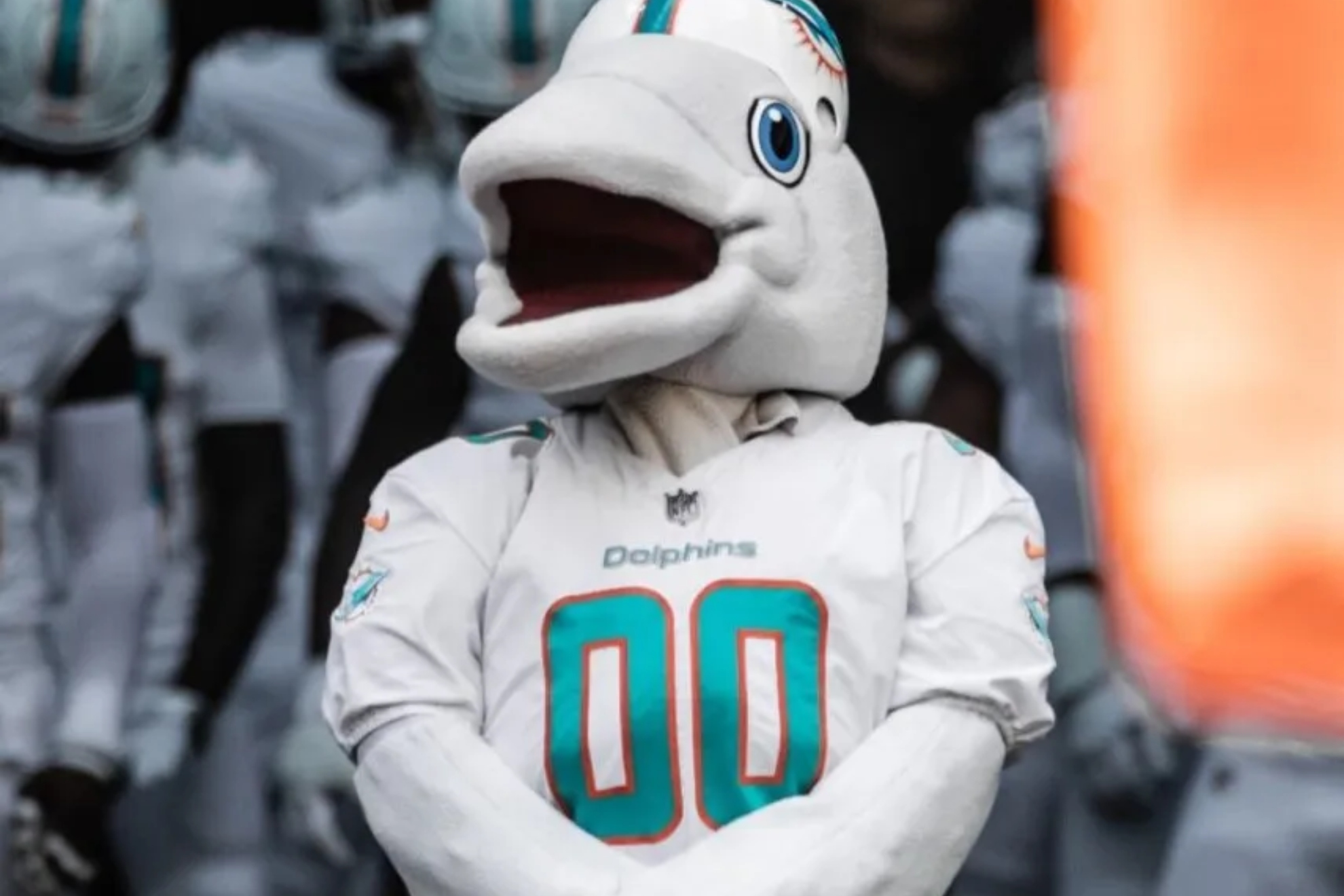 Así es TD, la mascota de los Miami Dolphins que tiene origen en los años 90, image size:1980x1320