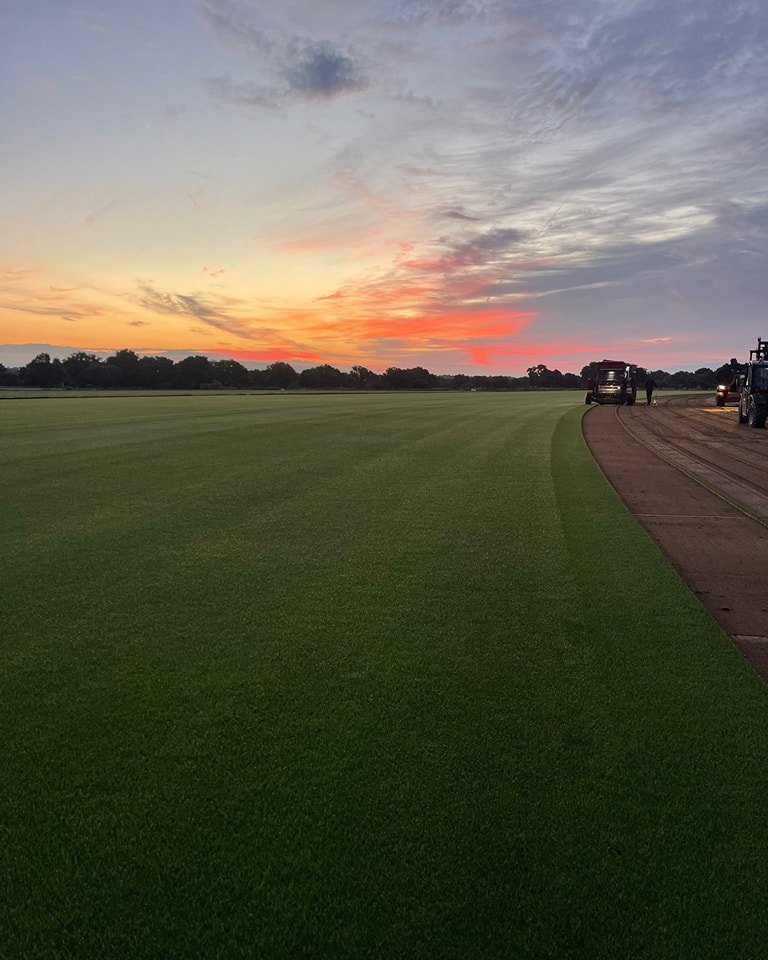 Una de las parcelas de TapizVerde donde cultivan su hierba premium.