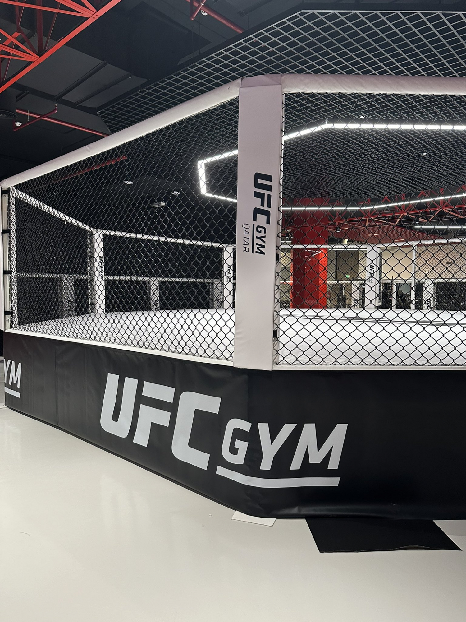 Imagen de la jaula del UFC Gym tras el entrenamiento de Aleksandre Topuria.