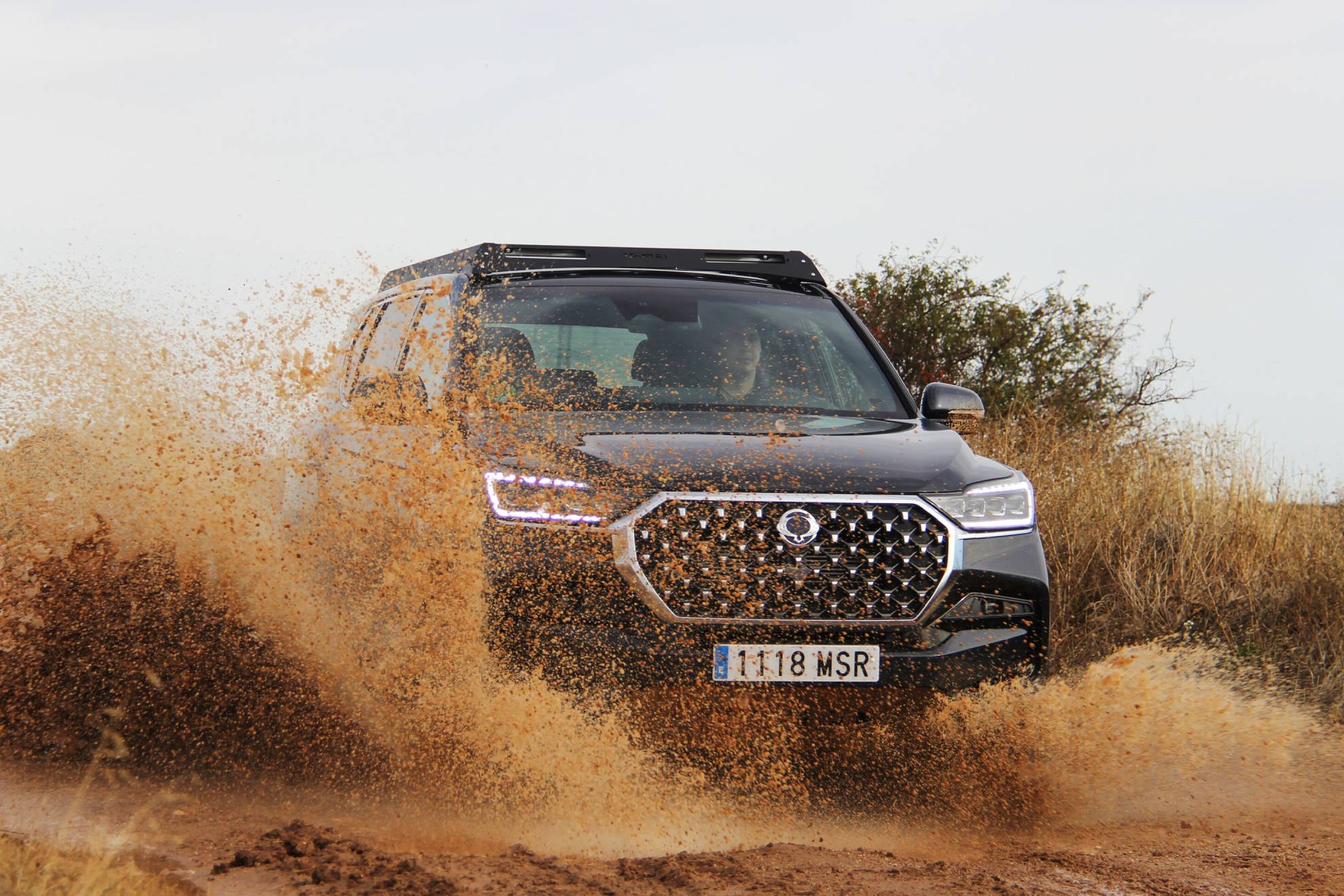 Aventura de Rexton.