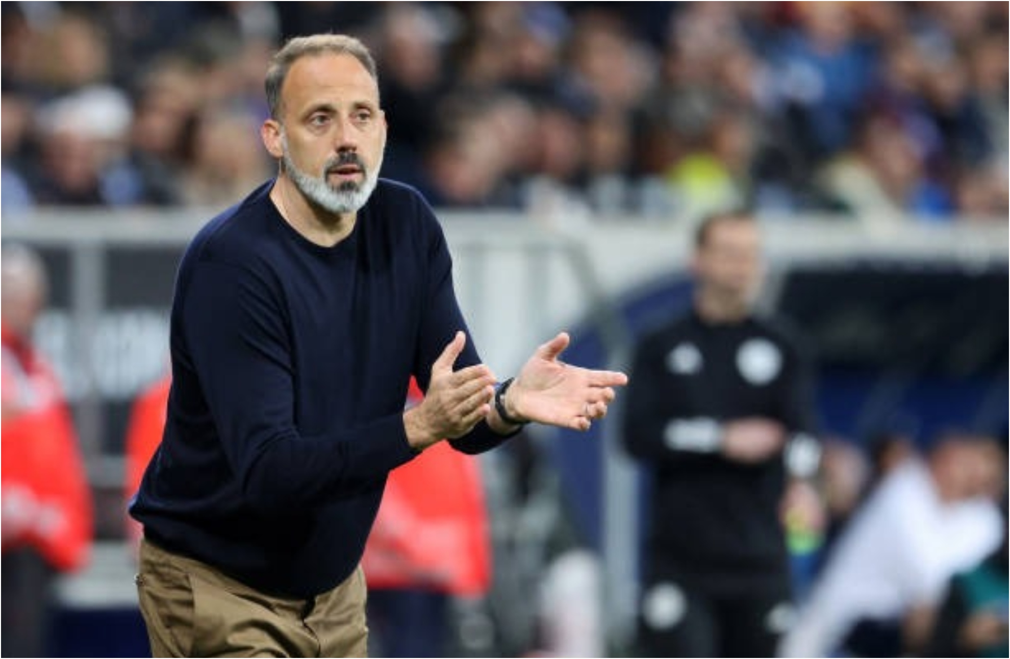 Matarazzo, el elegido para el banquillo de la Real Sociedad