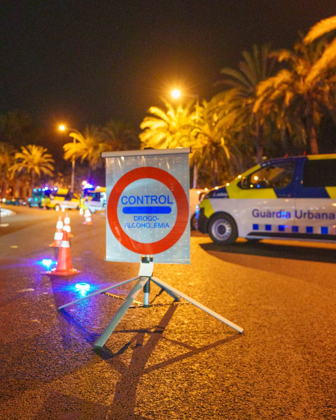 Las policías locales podrán complementar los controles de la DGT.