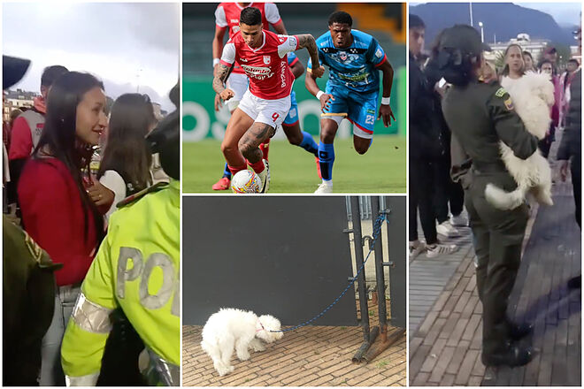Hincha dejó amarrado al perro afuera del estadio mientras entraba a ver un partido (Instagram: Dimayor - 'X': @Te_De_Menta, @@SantaFe_AlDia)