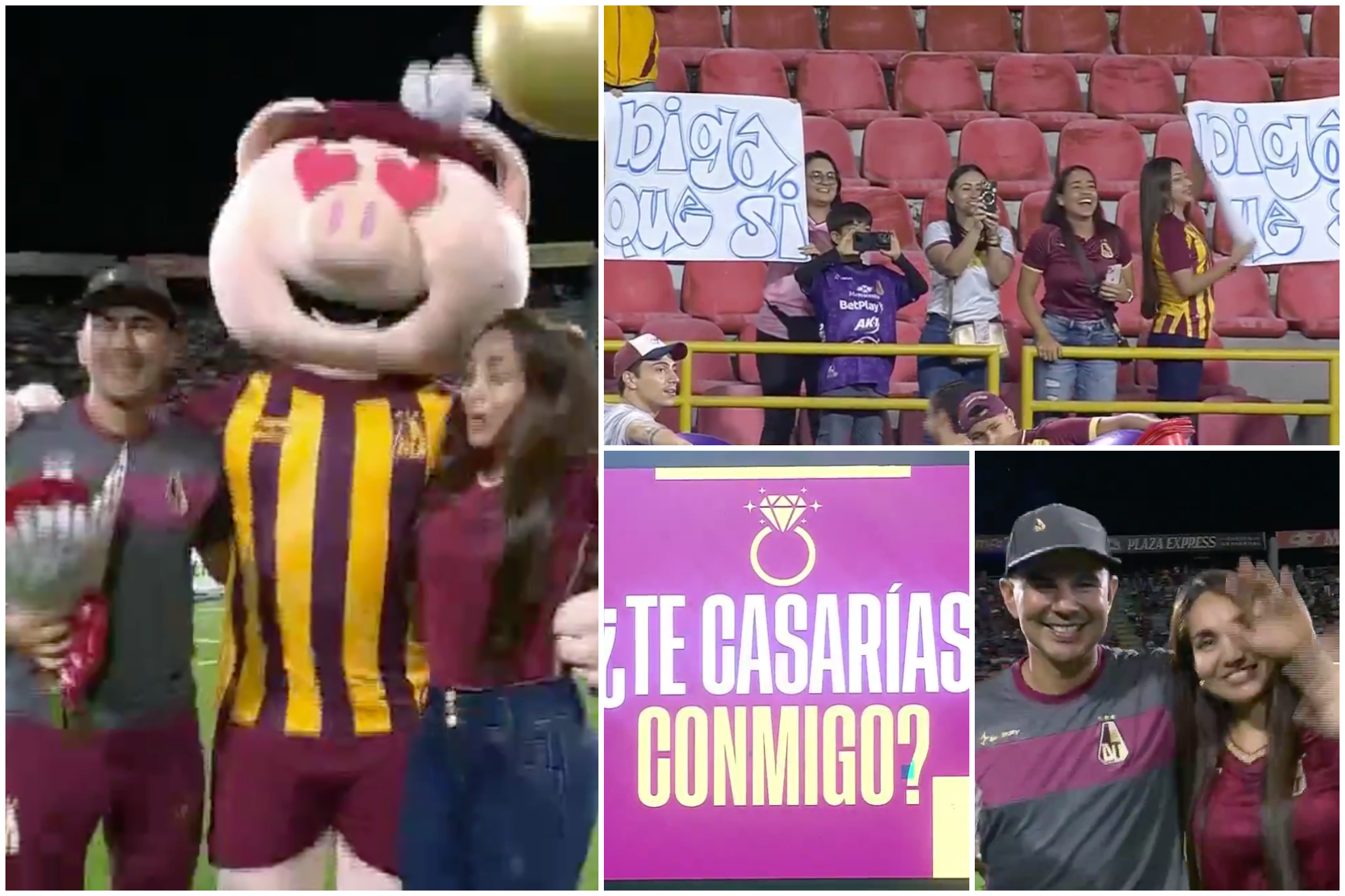 Mujer propone matrimonio durante partido del Deportes Tolima ('X': Win Sports +)
