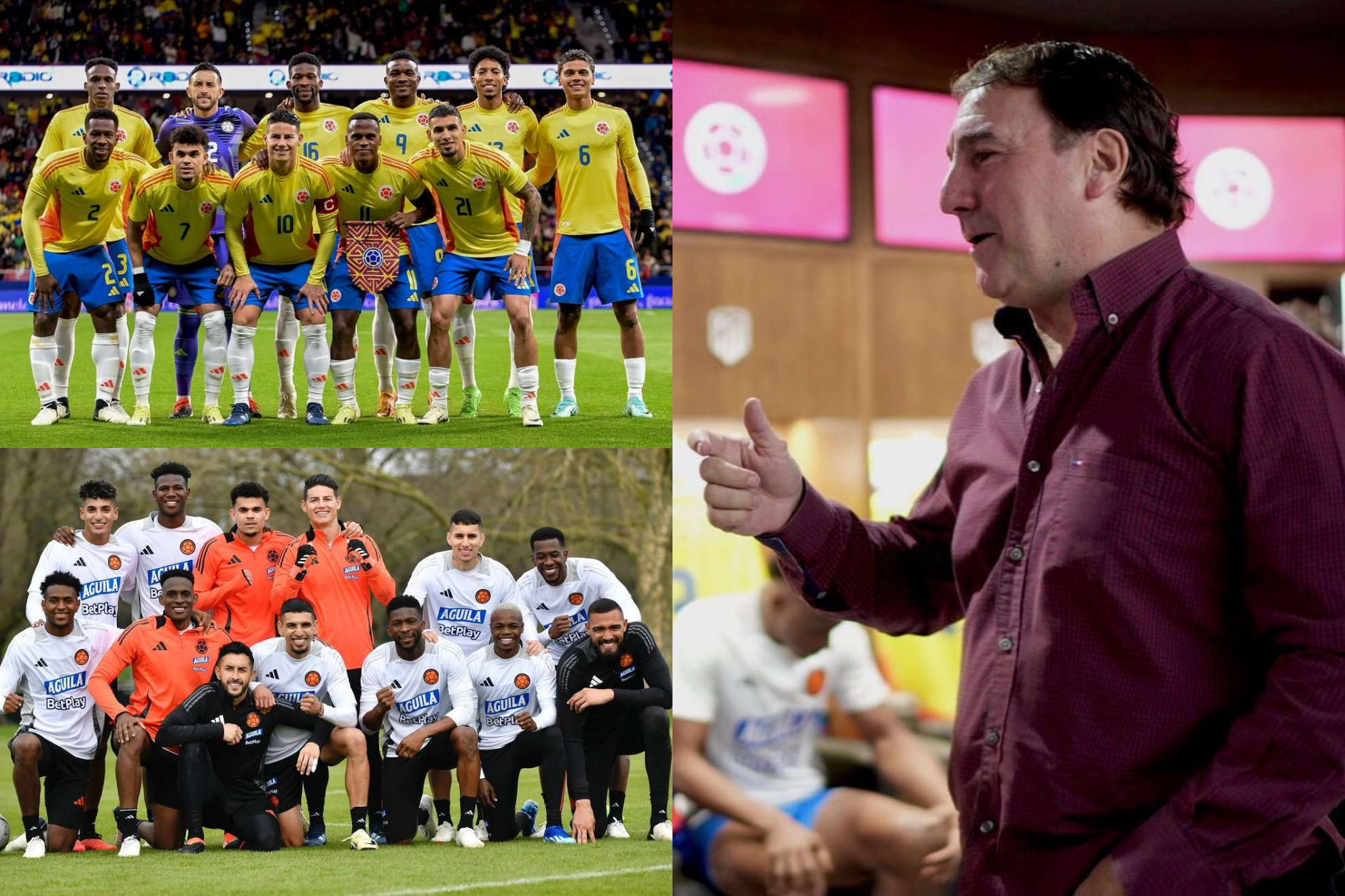 Posible 11 titular de Néstor Lorenzo con Colombia en la Copa América 2024 (Instagram: Selección Colombia)