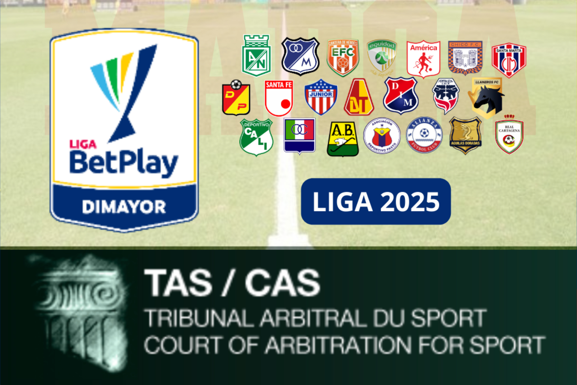 Real Cartagena espera ascender por el TAS para 2025 con Liga BetPlay de 21 equipos