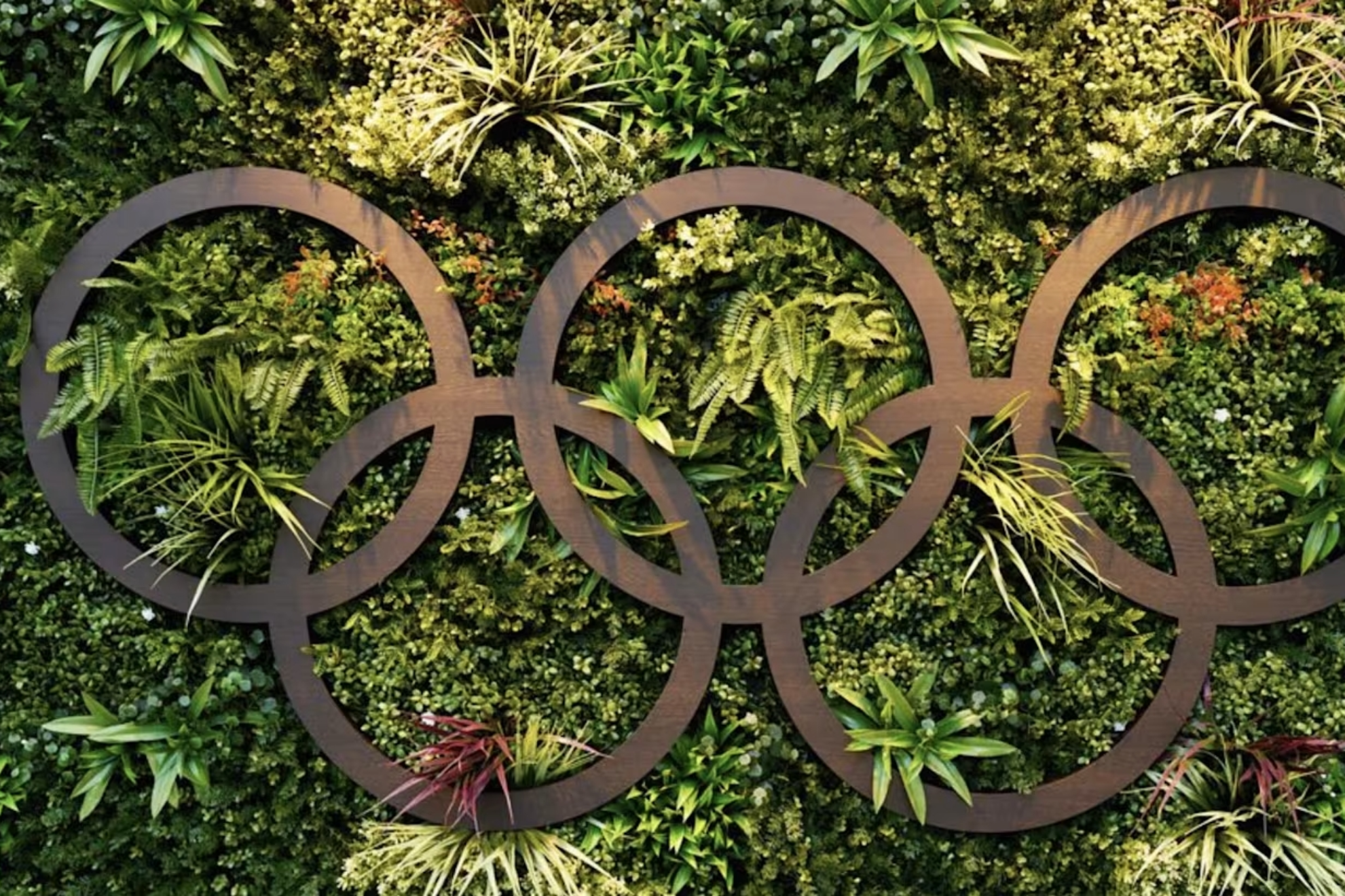 2024-08-06-17229582231965