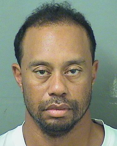 Tiger Woods, el día de su arresto