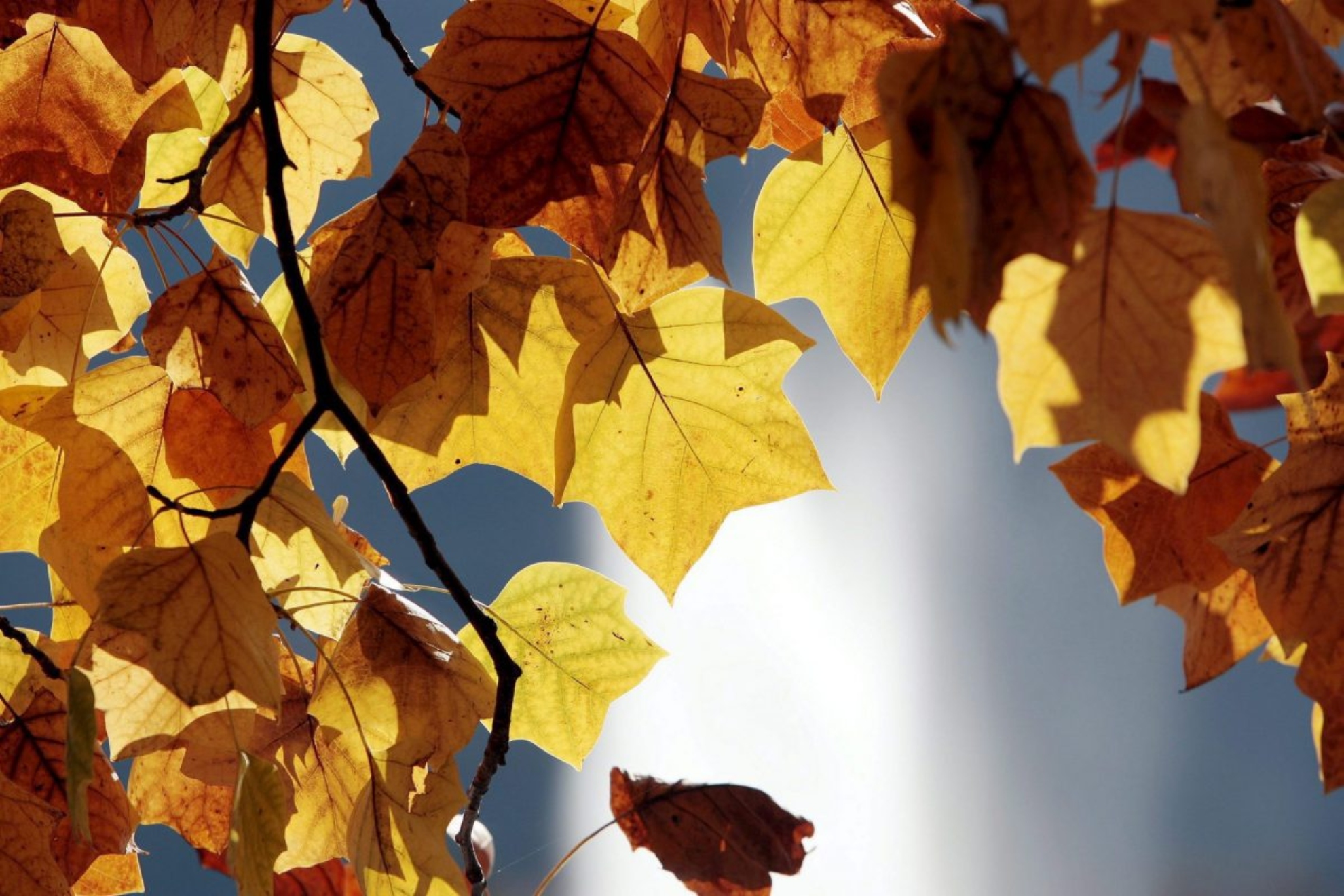 Llegada del otoño. EFE