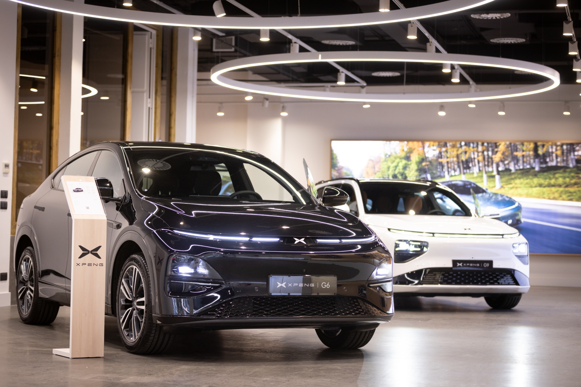 El precio máximo sin impuestos del coche para obtener ayudas será de 45.000 euros.