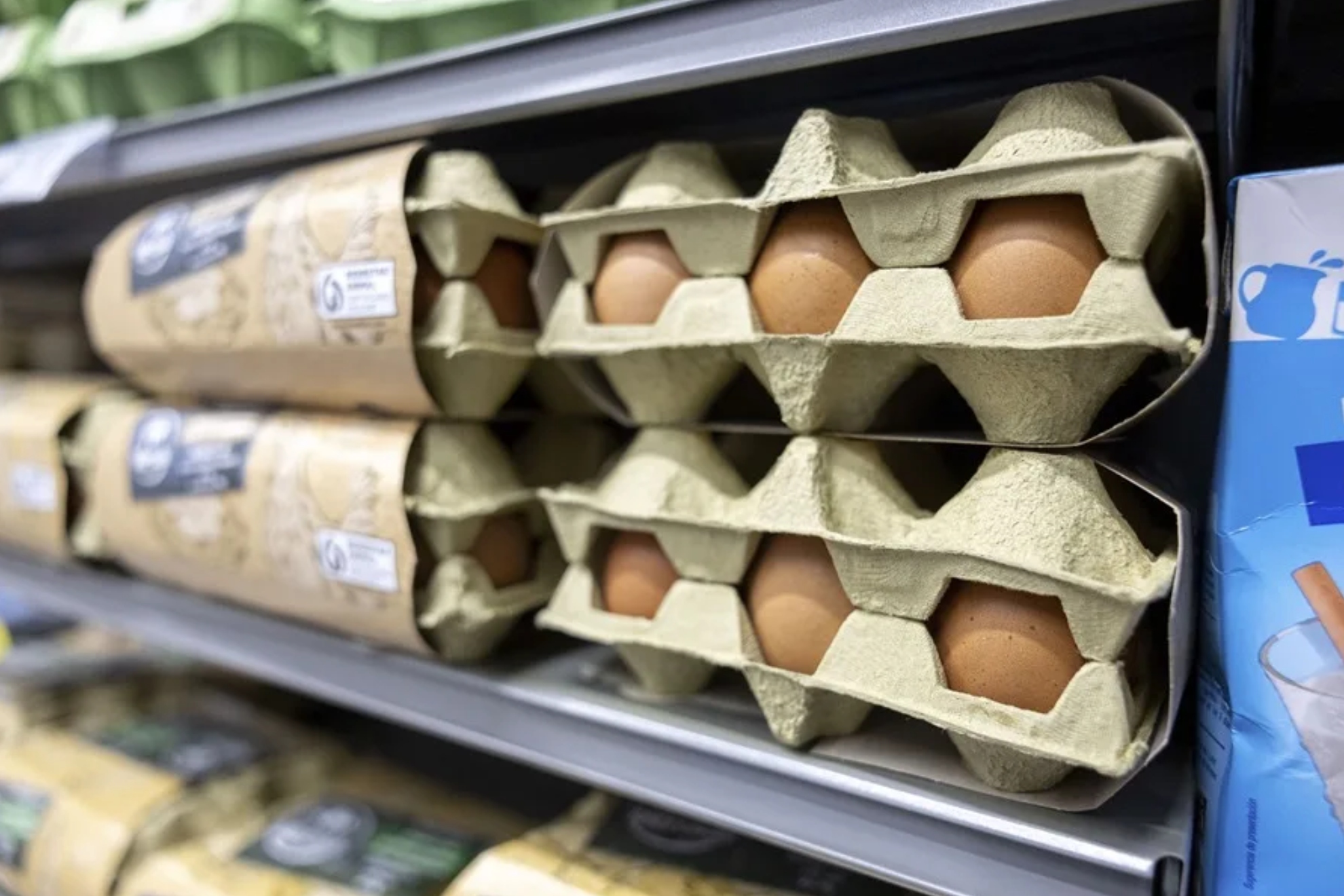 Las razones detrás del aumento del precio de los huevos, más allá de la gripe aviar EFE
