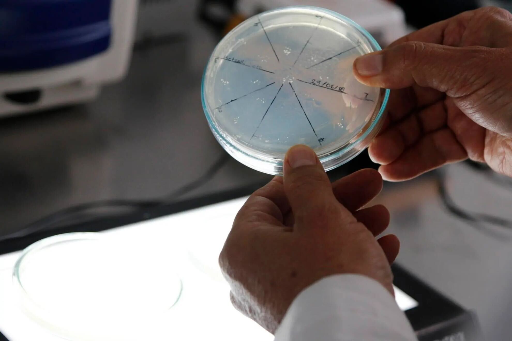 La bacteria de 5000 años que puede cambiarlo todo y aguanta los antibióticos actuales: podría ayudar a crear nuevas medicinas