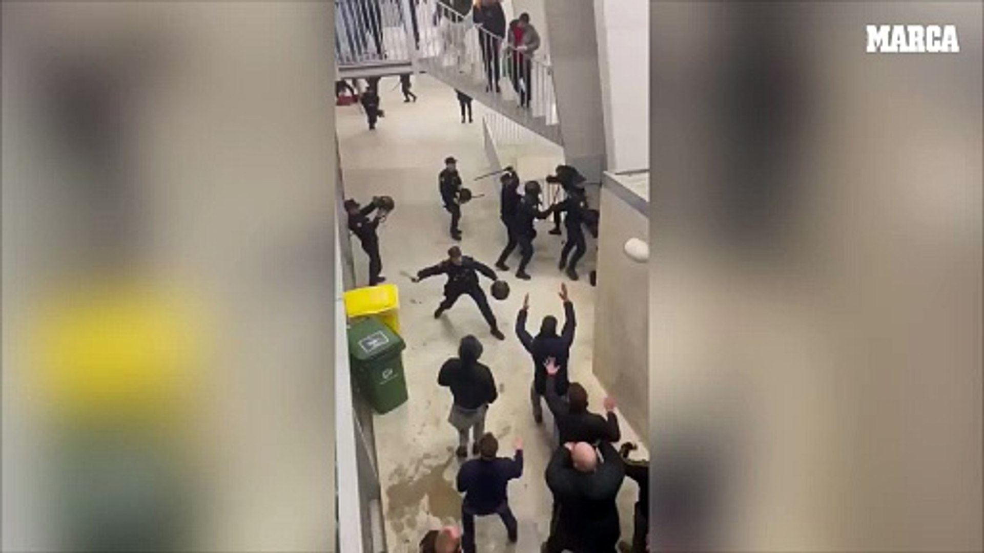 Descripción de la imagen