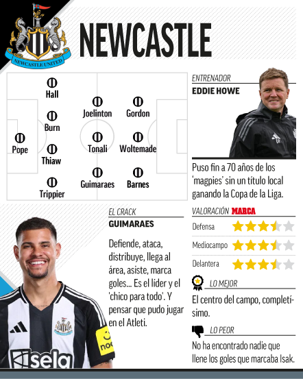 Así es el Newcastle.
